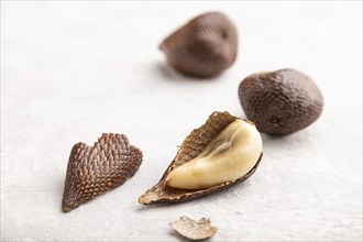 Salak or snake fruit on gray concrete background. Side view, close up, selective focus. Tropical,