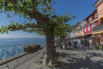 Meersburg on Lake Constance, lakeside promenade, many people, house facades, Baden-Württemberg,