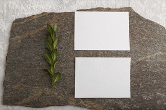 White paper business card, mockup with natural stone and boxwood branch on gray concrete background