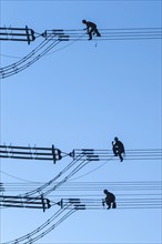 Overhead line fitters working on a high-voltage pylon, overhead lines, energy, worker, high-voltage