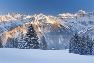 View from Braunwald to the Freiberge mountains Kärpf, Hanenstock and Hausstock in the Glarus Alps,