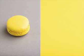 Yellow macaroon on trendy gray and yellow background. side view, copy space, close up, still life.