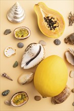 Ripe cut papaya, passion fruit, melon, seashells, pebbles on orange pastel background. Top view,