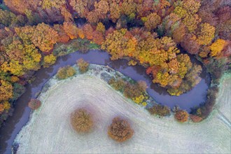 Aerial view of the Hunte in autumn, Meander, Hunte loop, Hunte, river, tree, forest, autumn