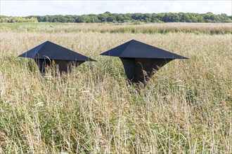 Sculpture 'Migrant' by Alison Wilding 2003 in reedbeds at Snape Maltings, Suffolk, England, UK