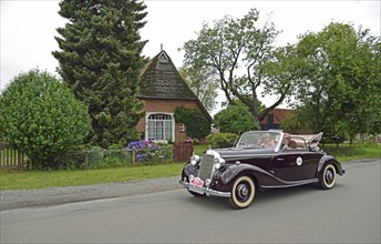 Europe, Germany, Lower Saxony, Lower Elbe Classics, classic car tour, Mercedes-Benz 1705