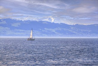 A sailing boat on the calm waters of Lake Constance with the Swiss Alps in the background Germany