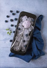 Blueberry ice cream, container with a spoon, on a gray table, fresh blueberries