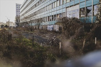 Broken windows and shutters of an abandoned office building loom in Berlin, 29/02/2024