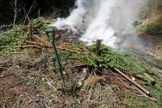 Garden bonfire