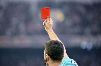 Close-up, referee Felix Zwayer shows red card, red, sending off, logo, FIFA, MHPArena, MHP Arena