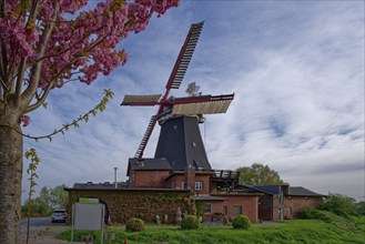 The Riepenburger Mühle, Boreasmühle, is a Dutch windmill dating from 1828. It is the oldest and