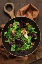 Fresh salad, waldorf, celery stalk, with apple and walnut, grapes, herbs, homemade, no people