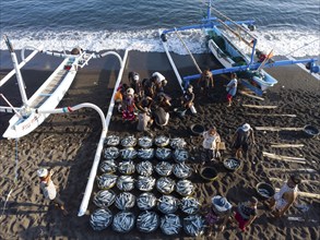 sorting, bucket, beachIndonesia, Bali, Amed, fishermen come back from fishing with their outrigger