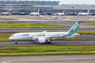 A Boeing 787-8 Dreamliner aircraft of ANA All Nippon Airways with the registration JA874A and the