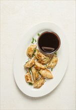 Japanese fried gyoza dumplings, with pork, sesame seeds, green onions