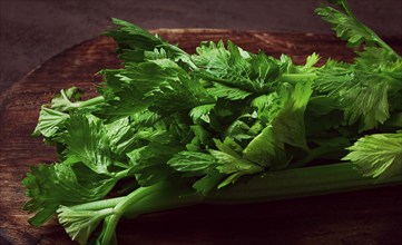 Fresh bunch of celery, top view, no people, on a dark background