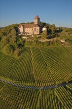 Lichtenberg Castle, Oberstenfeld, Bottwartal, Baden-Württemberg, Germany, Oberstenfeld,