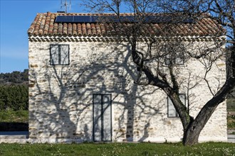 House, old, renovated, tree, shade, shutter, solar, rock, Provence, France, Europe