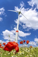 Wind farm near Brilon-Radlinghausen, Sauerland, North Rhine-Westphalia, Germany, Europe