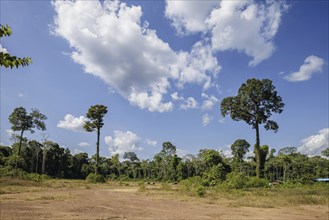 Tapajos National Forest. 19.07.2024. Photographed on behalf of the Federal Ministry for Economic