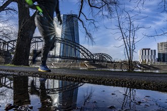 Building of the European Central Bank, ECB, Uferweg am Main in Frankfurt, Hesse, Germany, Europe