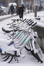 Winter in the city, snow-covered rental bikes from Nextbike, animal, Hauptwache, Frankfurt am Main,