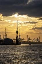 Port of Hamburg, view of the Blohm + Voss shipyard, evening, cranes of the container terminals,