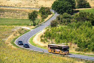 Country road, with car, sunflower field south-east of Nideggen, in the Rureifel, North