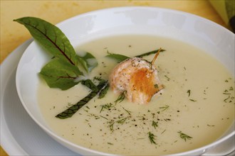 Southern German cuisine, sorrel soup with char, freshwater fish, soup arranged in a plate, herbs,