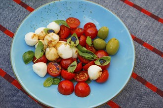 Italian cuisine, Mediterranean cuisine, mozzarella, basil, cherry tomatoes, cocktail tomatoes,