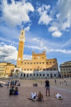 Piazza del Campo, Siena, Tuscany, Italy, Europe