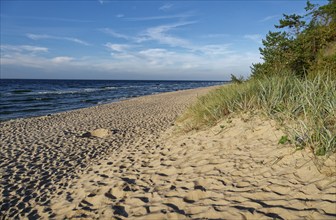 Palisaded path to the sandy beach on the coast in the Wolin National Park, also known as Wollin, on