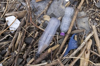 Symbolic image environmental pollution, plastic waste, rubbish, flotsam from a flood on the Neckar