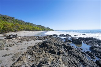 Tropical sandy beach with palm trees, Playa Montezuma, Montezuma, Nicoya Peninsula, Puntarenas