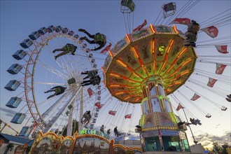 A funfair at dusk with illuminated chain carousel and Ferris wheel, Europa Rad, rides, wave flight,