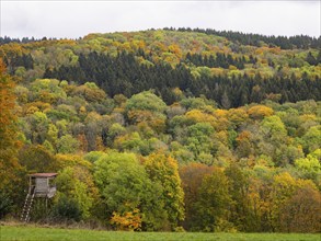 View of mixed woodland in autumn colour, in the Rhön UNESCO Biosphere nature reserve, county