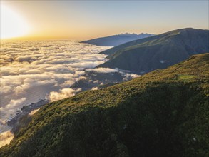 Aerial view of sunrise above clouds and green hills at Fanal mountain, Madeira island, Portugal,