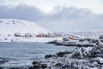 Colourful houses in a snowy landscape, fishing village Kongsfjord, Berlevåg, Varanger Peninsula,