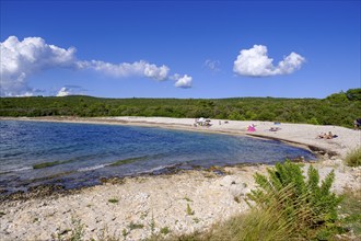 Beach, bay, Plaža Liska Slatina, Mali Losinj, island of Losinj, Kvarner Gulf Bay, Croatia, Europe