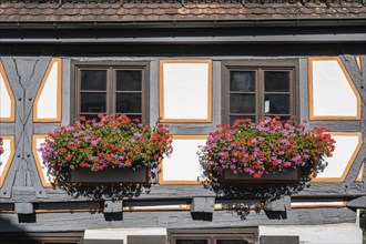 Detailed view of a half-timbered house in the old town of Ulm, Kässbohrer house in the fishermen's