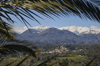 Snow-capped mountains and green landscape in the foreground framed by palm leaves, Lefka Ori, White