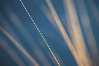 Stalks of moor grass (Molinia) glow in front of dark, blue moor water in the warm light of the