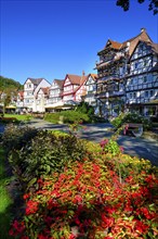 Weinreihe, Bad Sooden-Allendorf, Werratal, Werra-Meißner-Kreis, Hesse, Germany, Europe