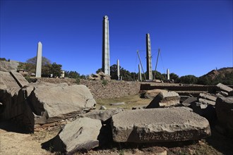 Tigray region, in the stele park of Axum, Aksum, ancient cemetery of the Axumite kings, Ethiopia,