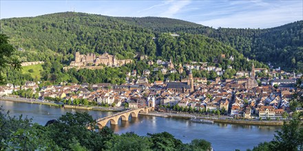 View of Castle River Neckar and Old Bridge Panorama in Heidelberg, Germany, Europe