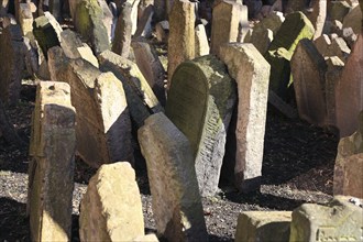 The Old Jewish Cemetery in the Josefov district is one of the most historically significant Jewish