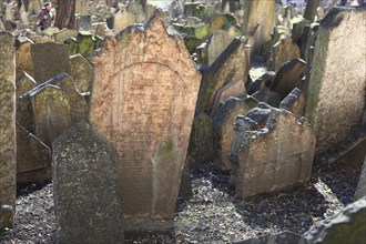 The Old Jewish Cemetery in the Josefov district is one of the most historically significant Jewish