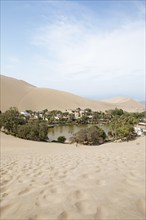 Laguna de Huacachina oasis, Ica, Ica region, Ica province, Peru, South America