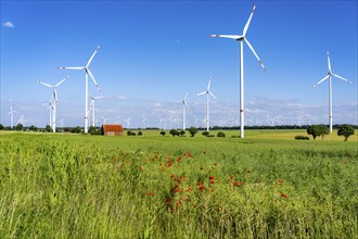 Wind farm north-east of Bad Wünnenberg, Ostwestfalen Lippe, Paderborn district, North